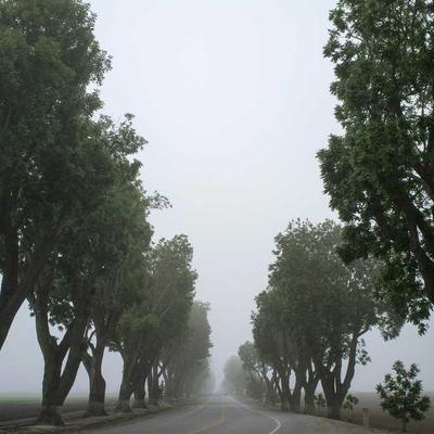 劉錦惠