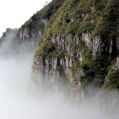 莫俊宏